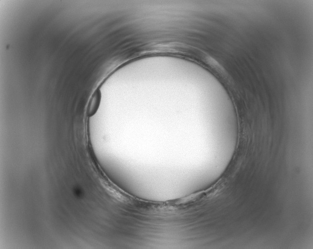 X0000065971370200603241902