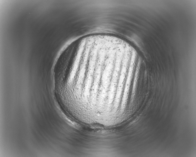 X0000065971371200603241902