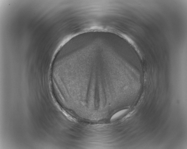 X0000065971373200603241902