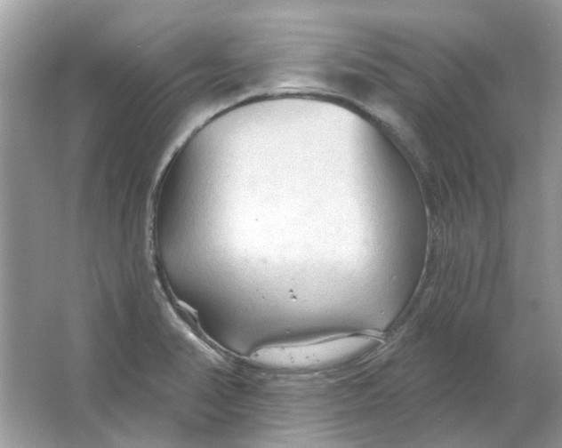 X0000065971374200603241902