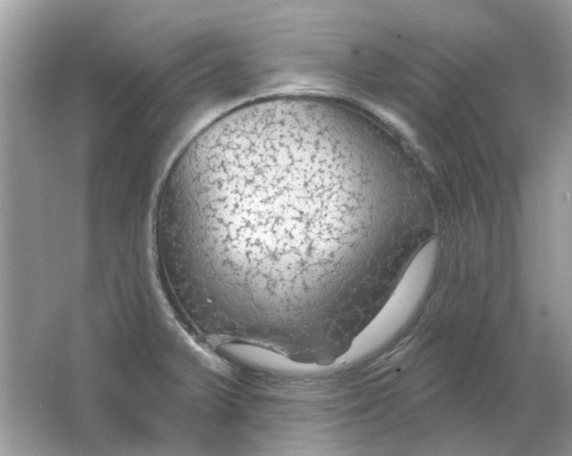 X0000065971375200603241902