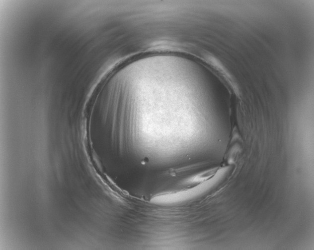 X0000065971376200603241902