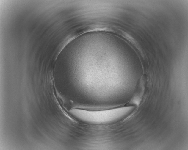 X0000065971377200603241902