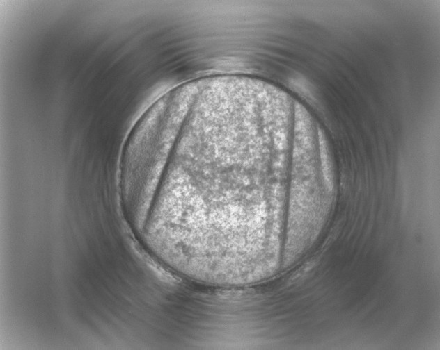 X0000065971378200603241902