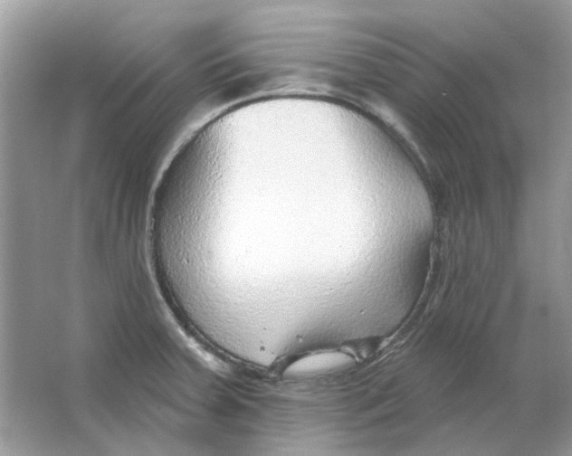 X0000065971379200603241902