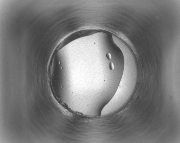 X0000065971380200603241902