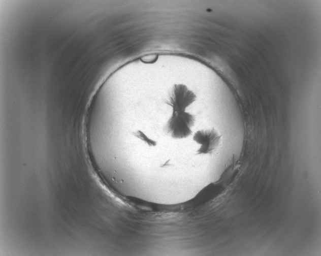 X0000065971382200603241902