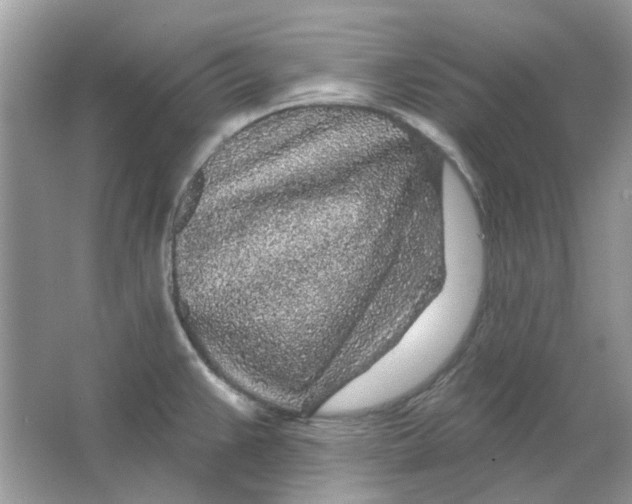 X0000065971383200603241902