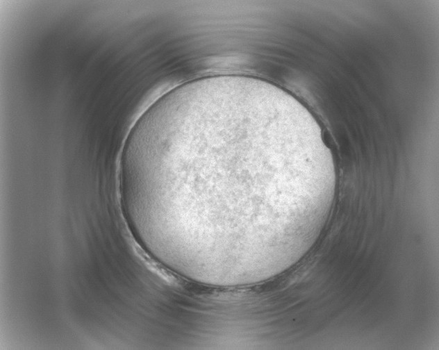 X0000065971386200603241902