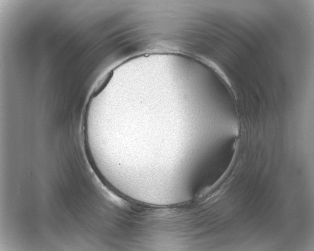 X0000065971387200603241902