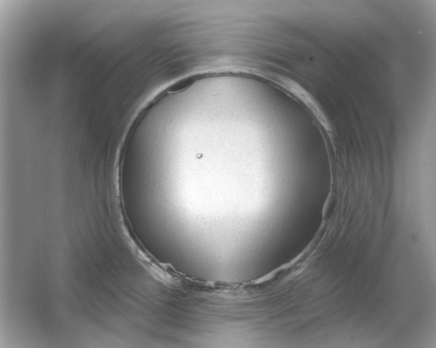 X0000065971388200603241902