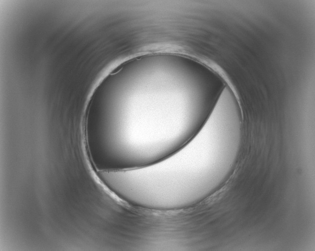 X0000065971389200603241902