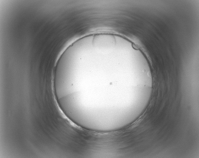 X0000065971390200603241902