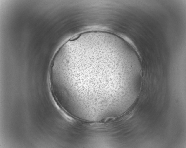 X0000065971391200603241902