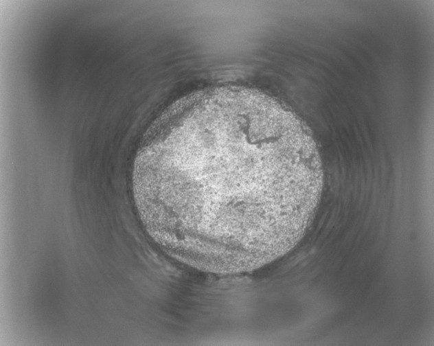 X0000065971393200603241901