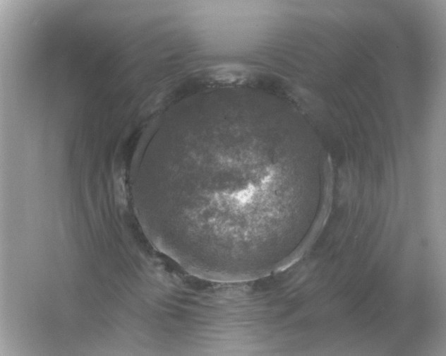 X0000065971394200603241901