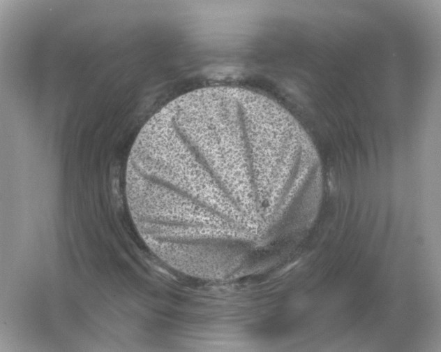 X0000065971396200603241901