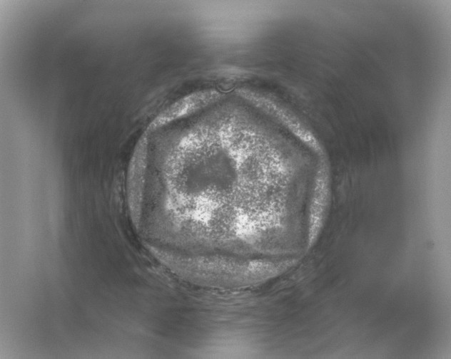 X0000065971397200603241901