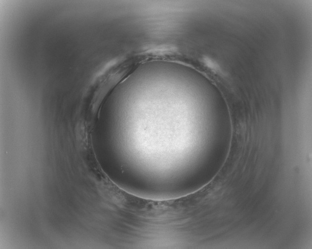 X0000065971398200603241901