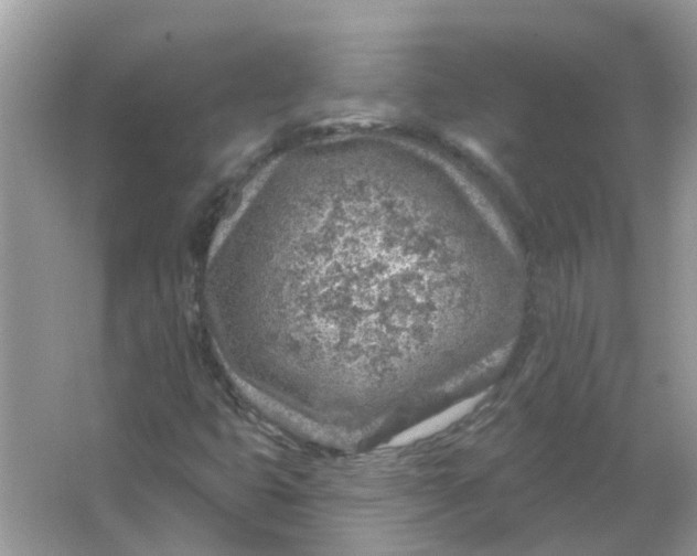 X0000065971399200603241901