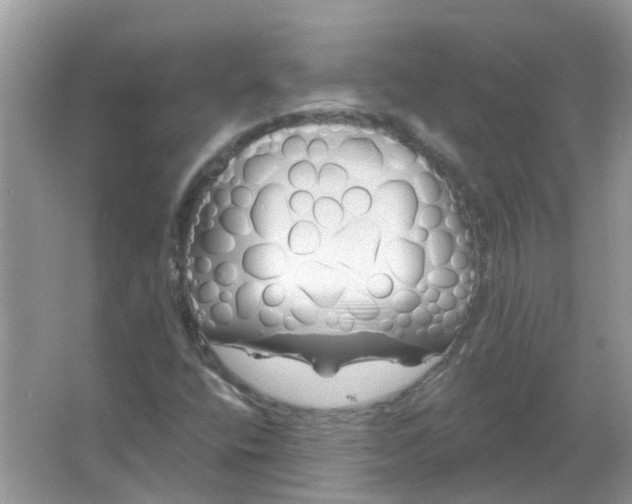 X0000065971400200603241901