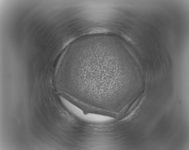 X0000065971401200603241901