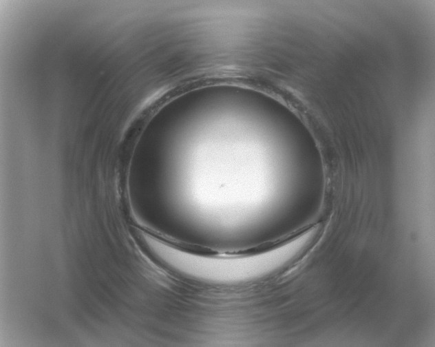 X0000065971402200603241901