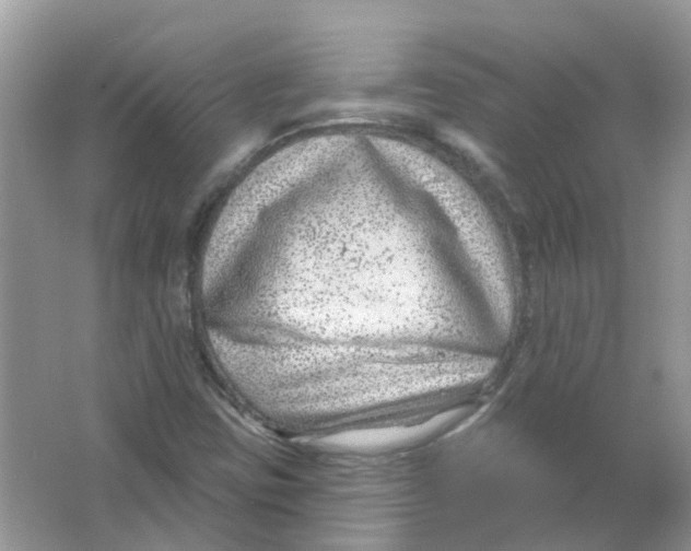 X0000065971403200603241901