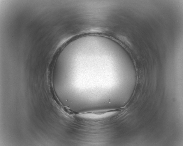 X0000065971404200603241901