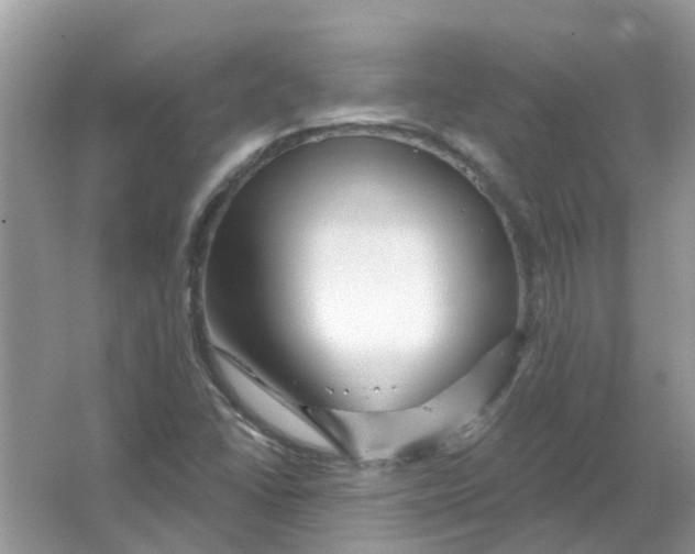 X0000065971406200603241901