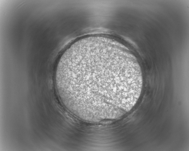 X0000065971407200603241901