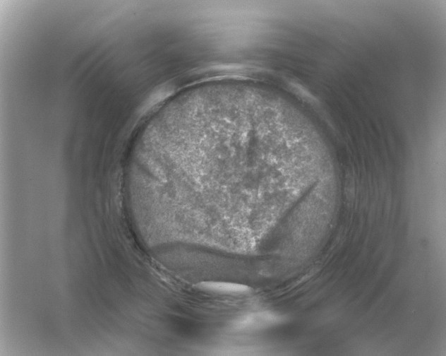 X0000065971411200603241901