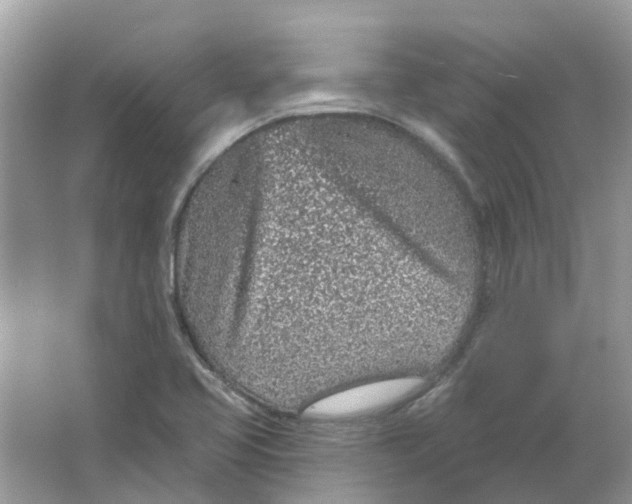 X0000065971413200603241901