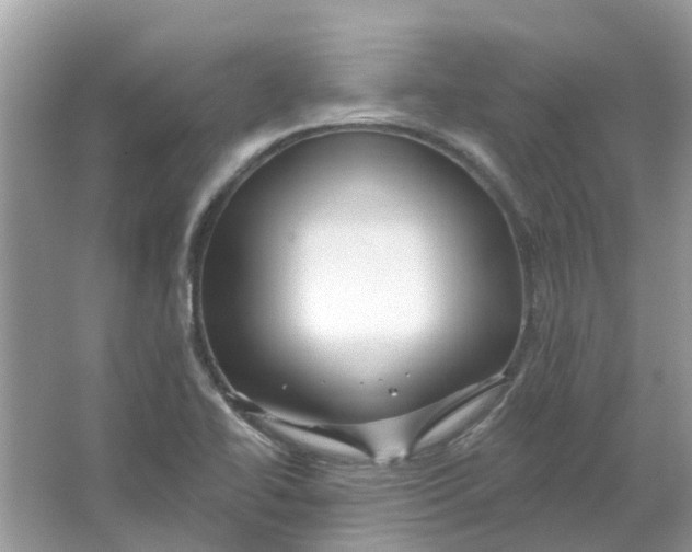 X0000065971414200603241901