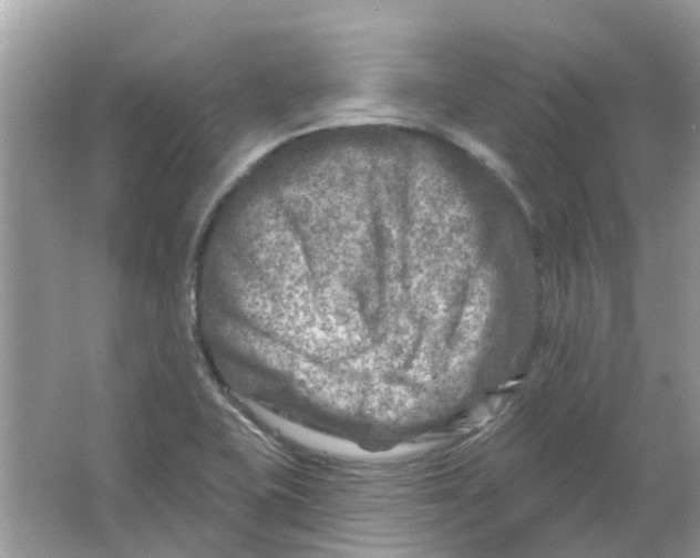 X0000065971415200603241901