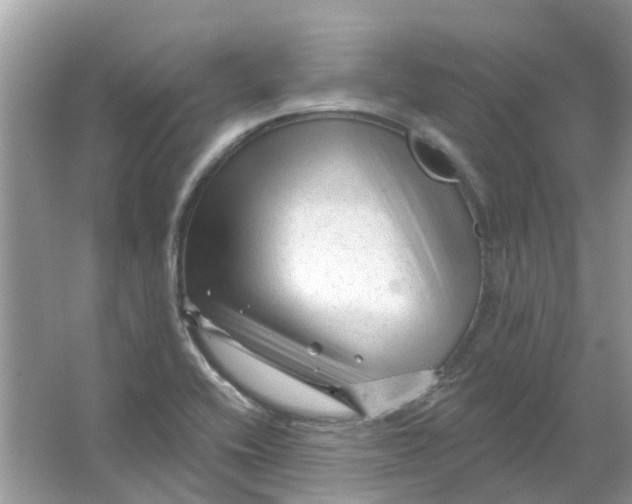 X0000065971416200603241901