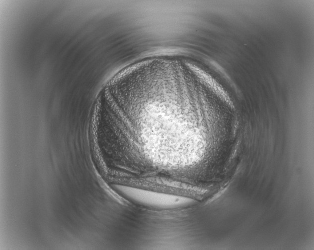 X0000065971417200603241901