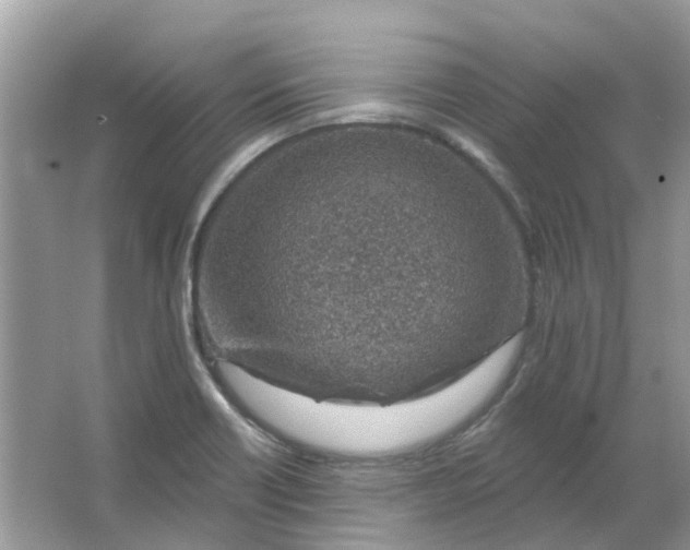 X0000065971418200603241901