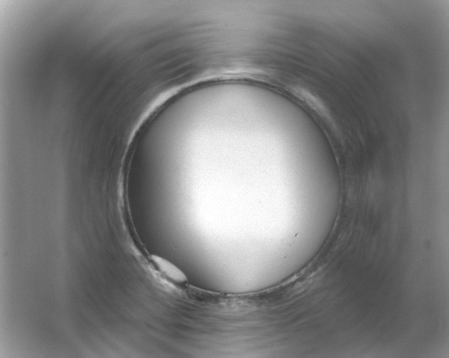 X0000065971420200603241901