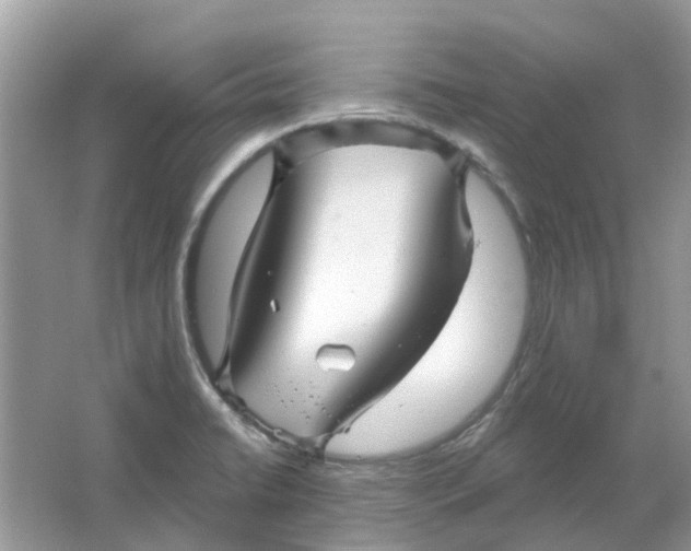 X0000065971422200603241901