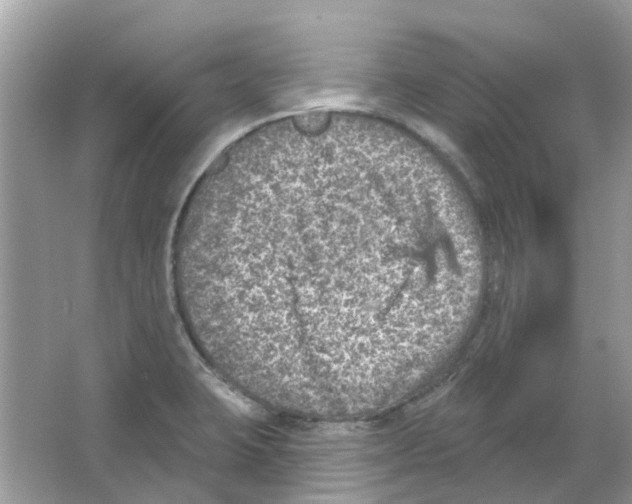 X0000065971423200603241901