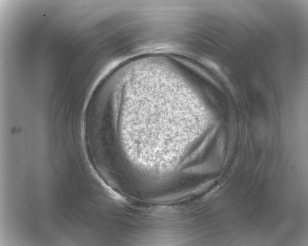 X0000065971424200603241901