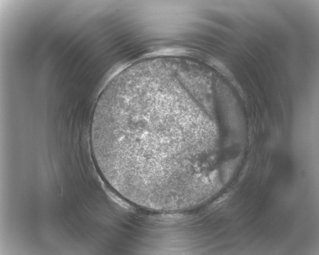 X0000065971425200603241901