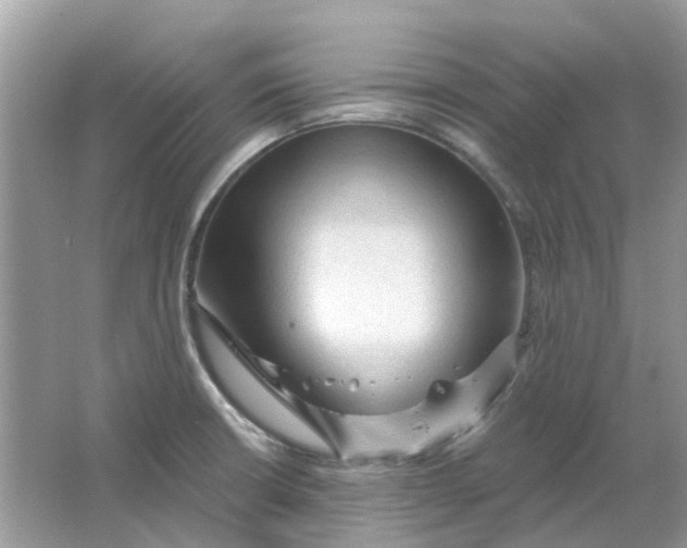 X0000065971426200603241901