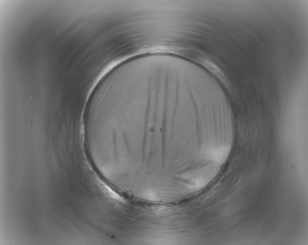 X0000065971428200603241901