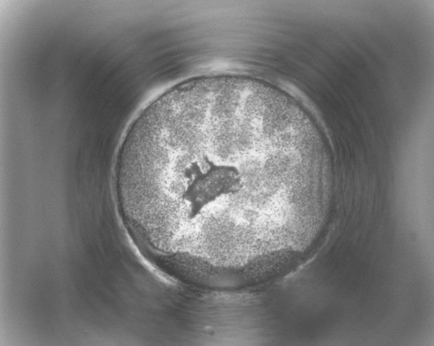 X0000065971429200603241901