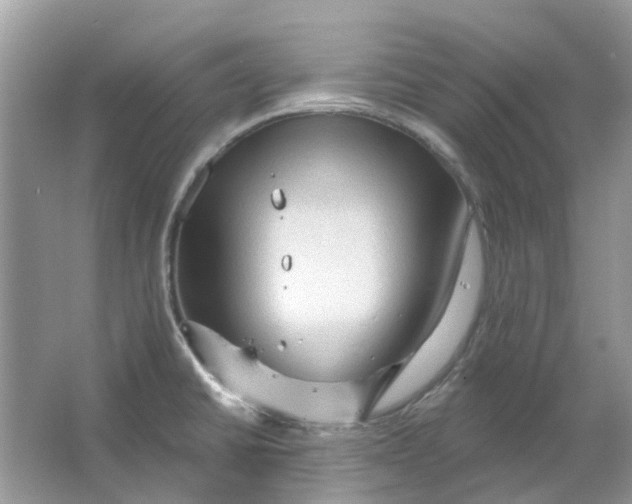 X0000065971430200603241901