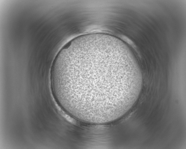 X0000065971431200603241901