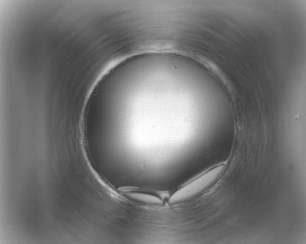 X0000065971432200603241901