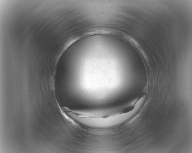 X0000065971433200603241901